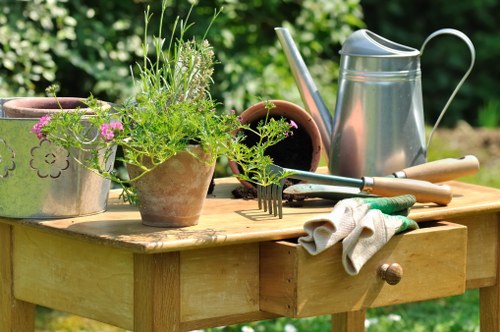 Selection of native plants for Catford gardens