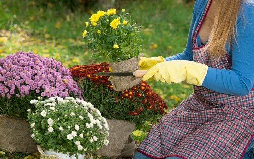 Professional gardener designing a garden layout