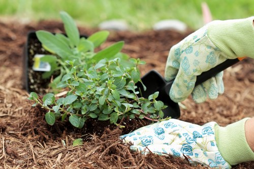 Choosing the right garden clearance service