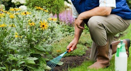 Well-maintained Catford lawn by professionals