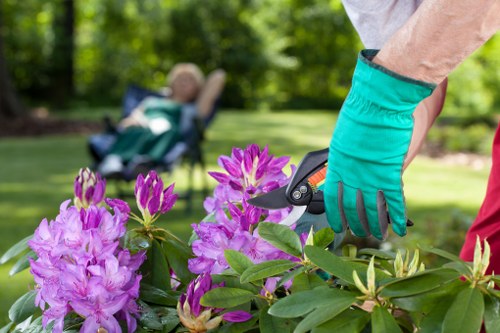 Catford gardener designing a sustainable outdoor landscape