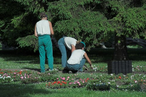 Professional gardener in Catford mowing a healthy green lawn