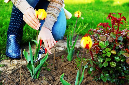 Choosing the right lawn mowing service in Catford