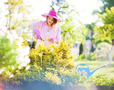 Gardener planning maintenance schedule in Catford