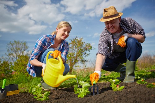 Environmental considerations in garden clearance