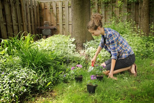 Emergency tree removal service in Catford