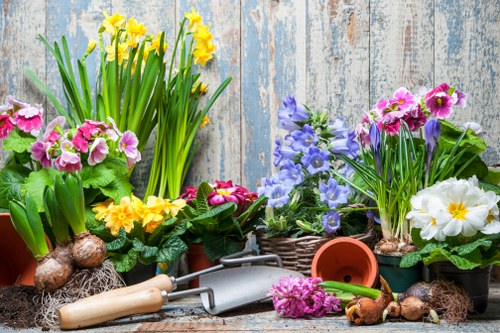 Essential lawn mowing tips for Catford homeowners