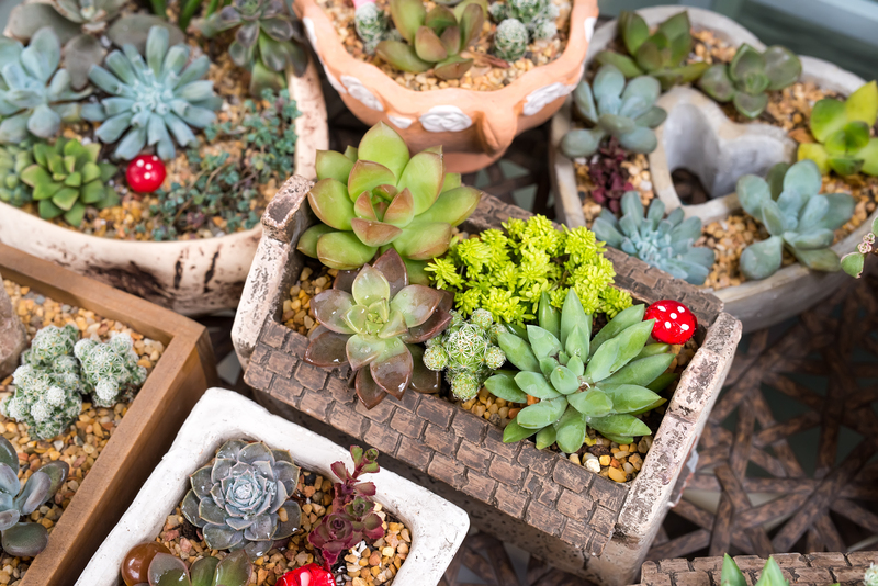 lawn care garden maintenance