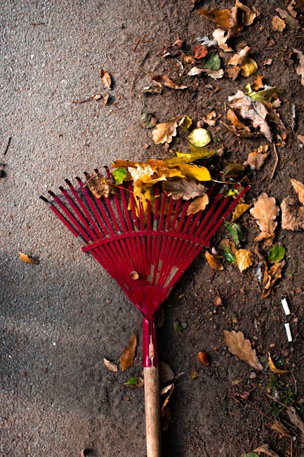 A gardener wearing a white glove is seen holding a white gardening bag filled with a mixture of pruned green ivy, small twigs, and dry leaves, likely collected during garden maintenance work. The gard