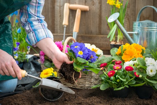 Gardener Catford maintaining a lush garden with pruning and weeding